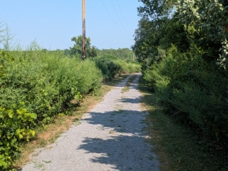 LVTExt3-769x1024
