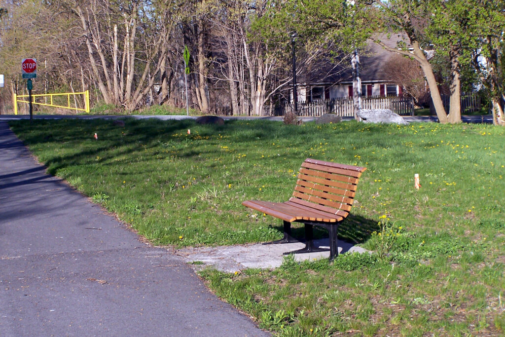 Schmidt1
